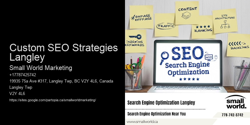 Custom SEO Strategies Langley